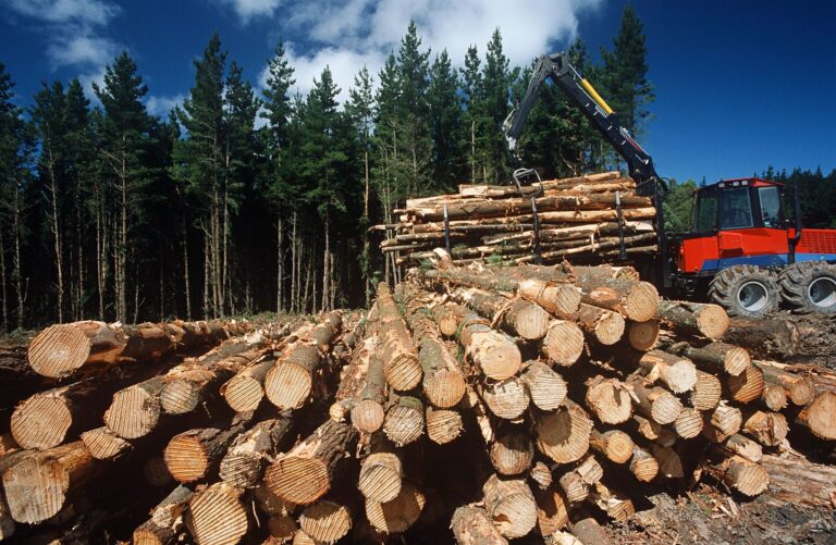 logging insurance