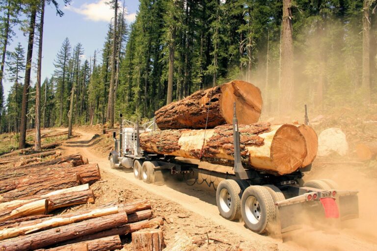 timber transportation insurance