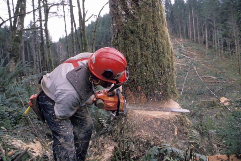 wood cutters insurance